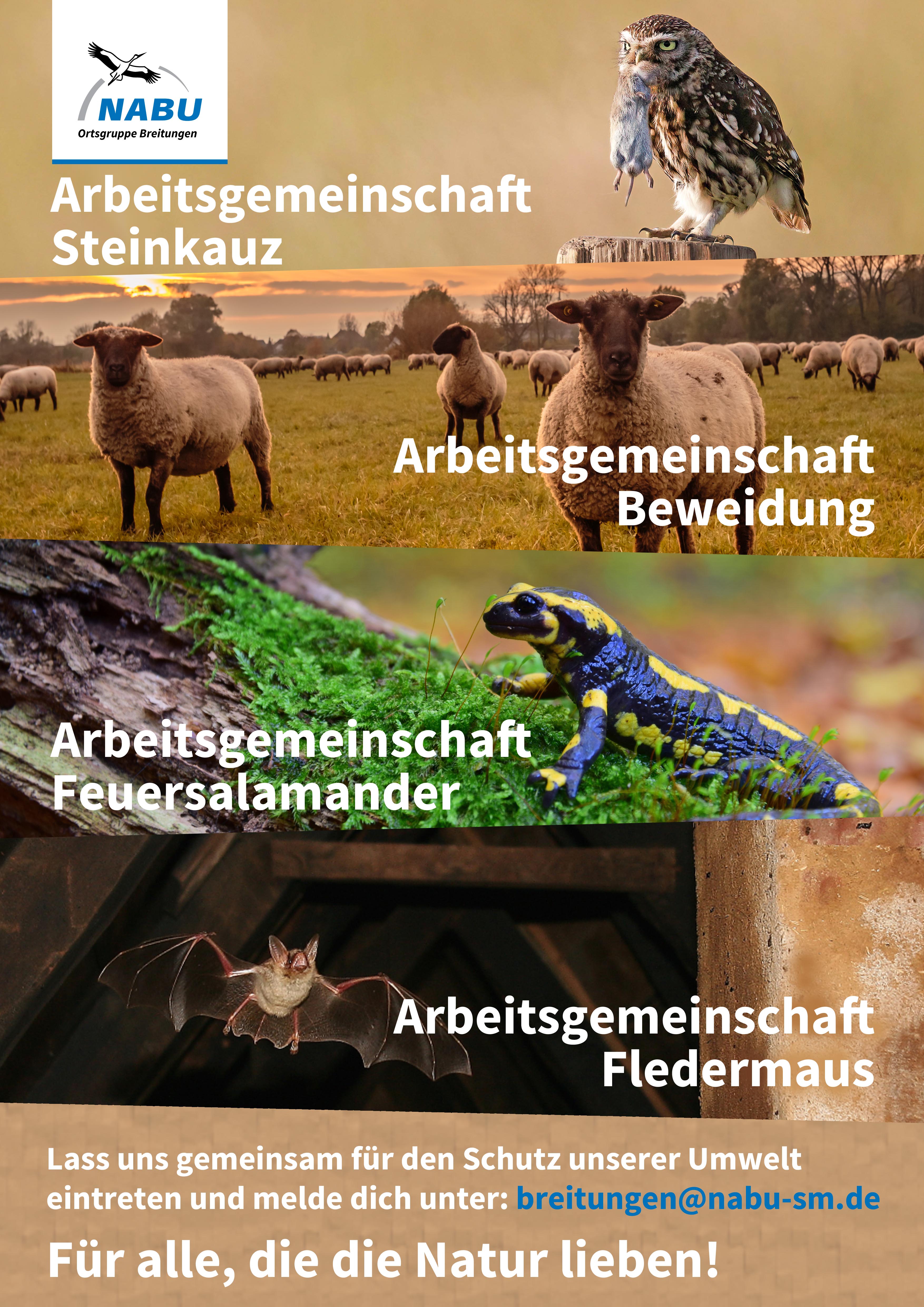 AGs