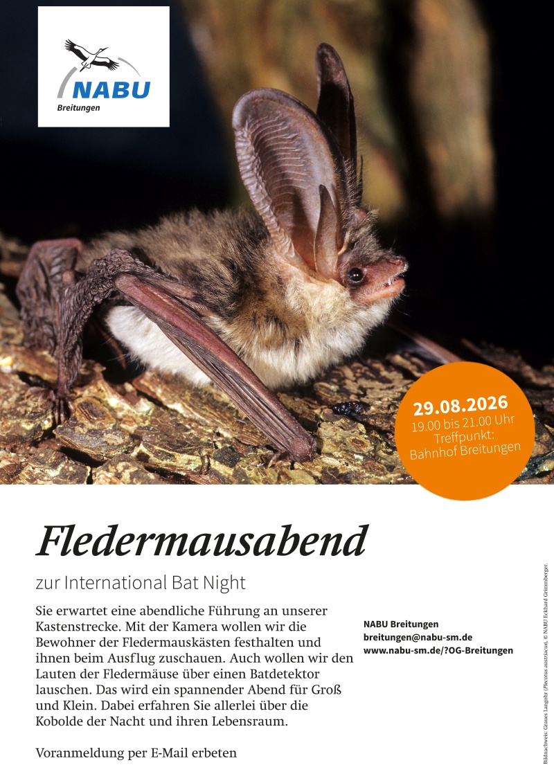 Bat Night 2026